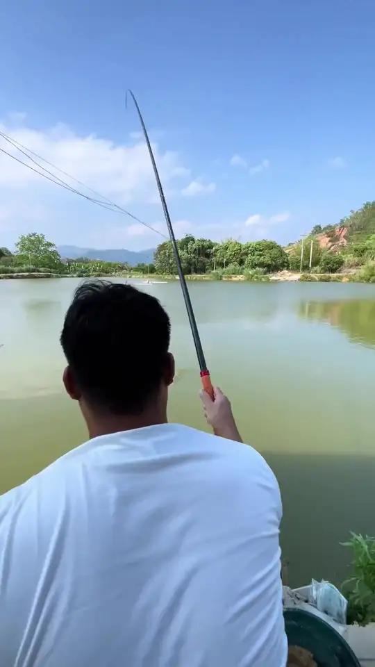 钓鱼高手看过来!六一西路六一休闲钓场,鲫鱼价从五十五降到五十。这里是天然氧吧,空气清新。周