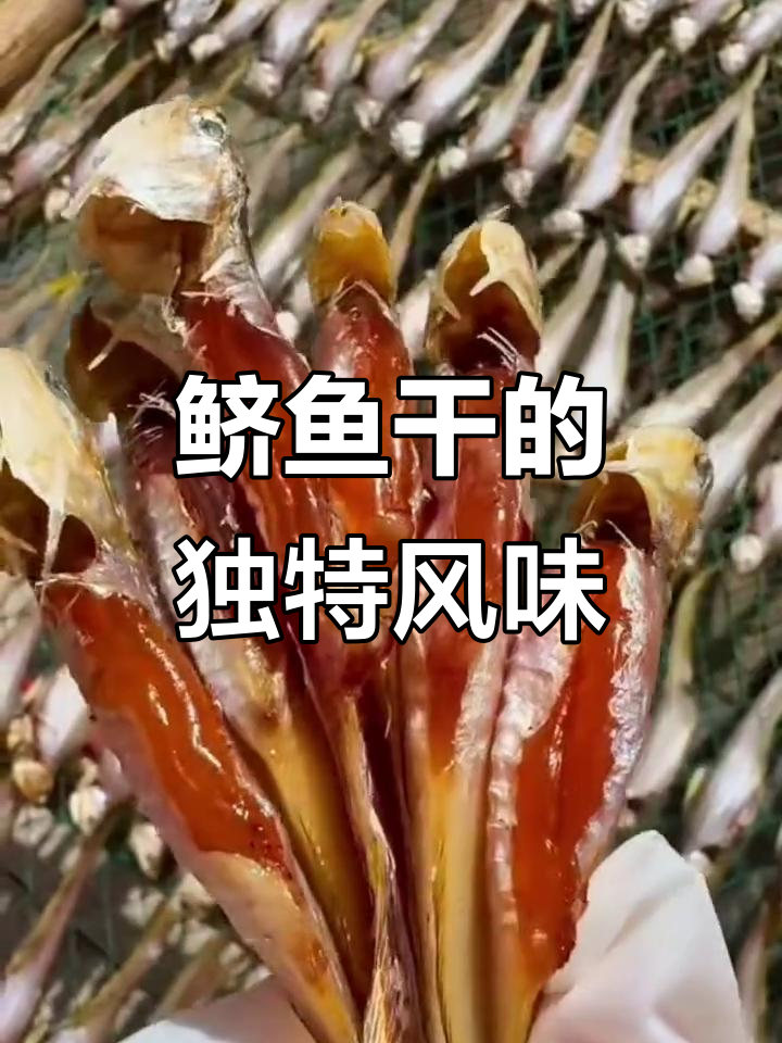 鲚鱼干,浙江海鲜独特美味,条条满籽,咸香十足