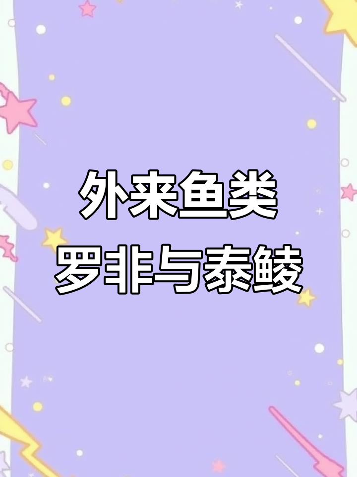 罗非鱼和泰鲮鱼的真相:外来物种入侵钓鱼场