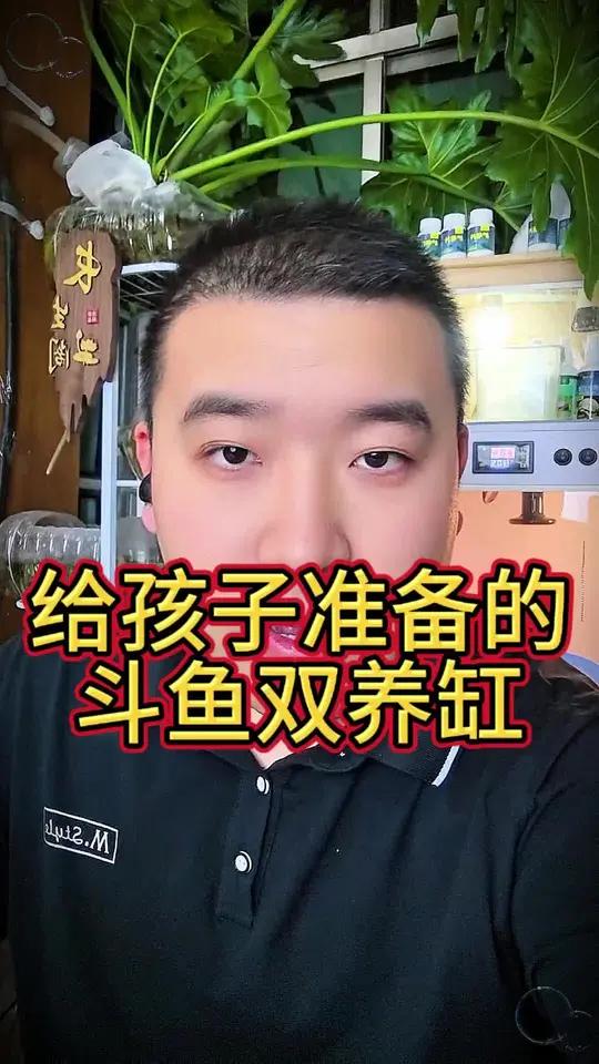 斗鱼双缸送孩子太棒了 #斗鱼缸 #斗鱼造景缸 #鱼缸 #养鱼