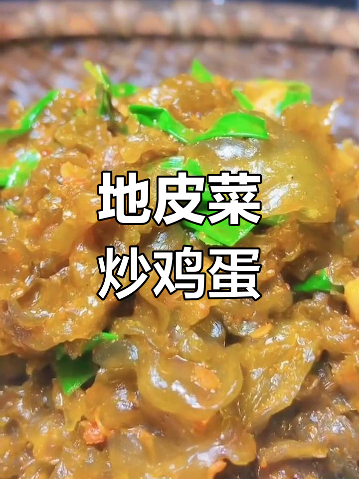 地皮菜的营养价值与美味做法