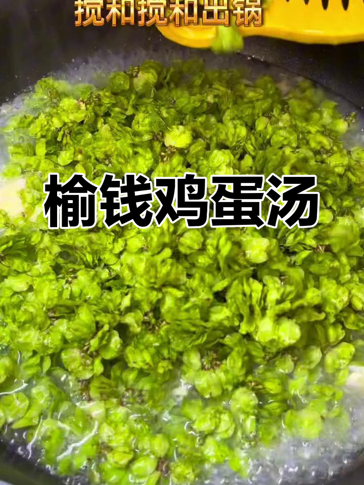 榆钱鸡蛋汤,鲜美甘醇,简单又好喝