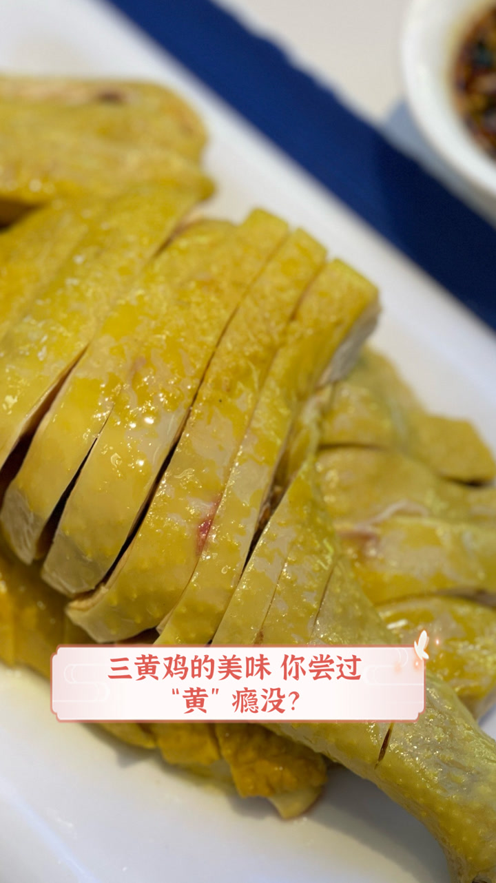 三黄鸡的美味,你尝过“黄”瘾没?