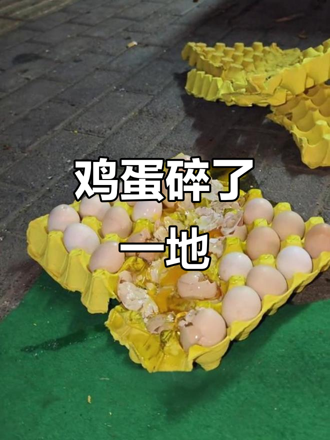 推车不小心,鸡蛋全碎了!倒霉蛋的日常