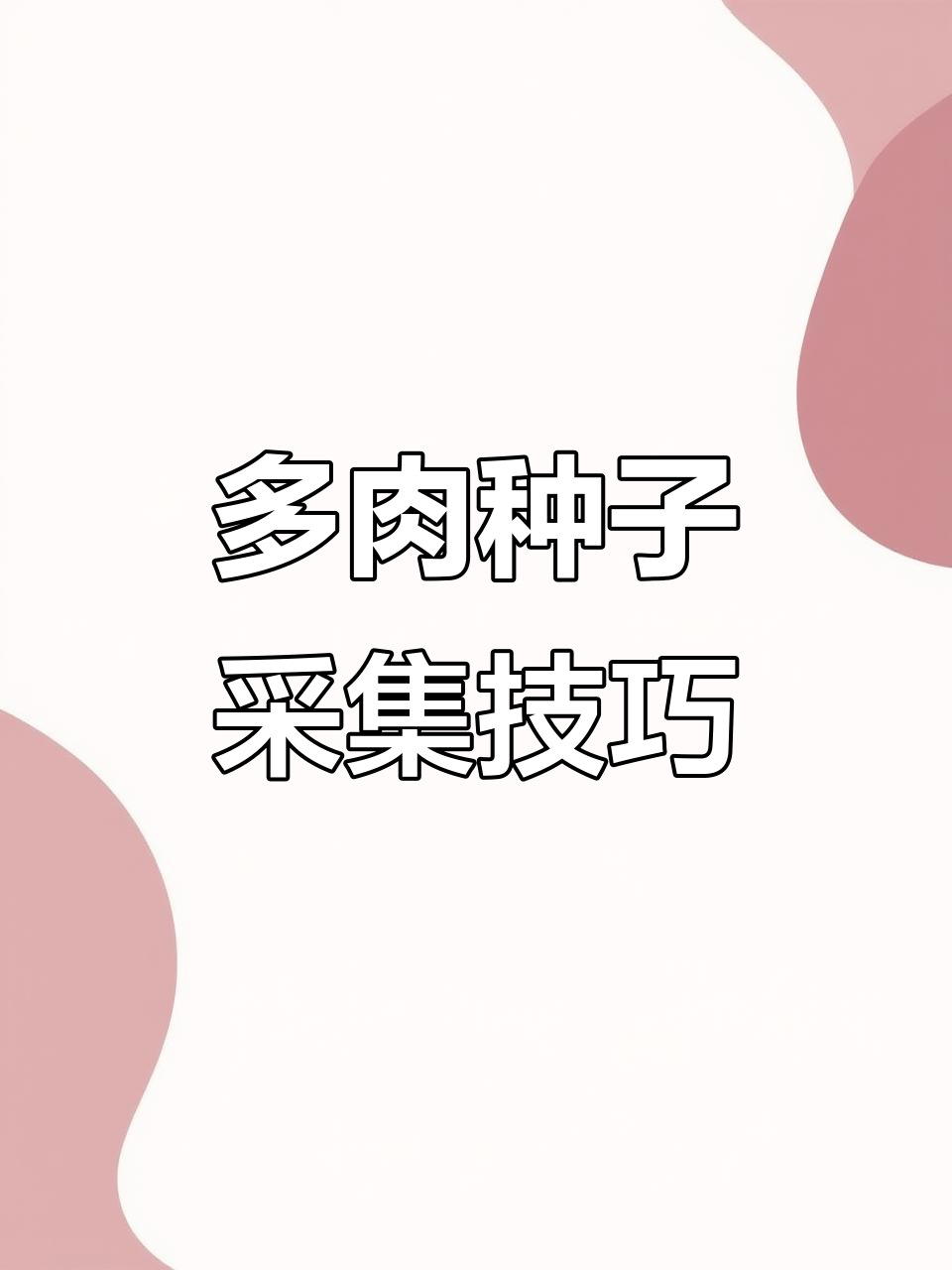 如何收集多肉种子？详细步骤大揭秘