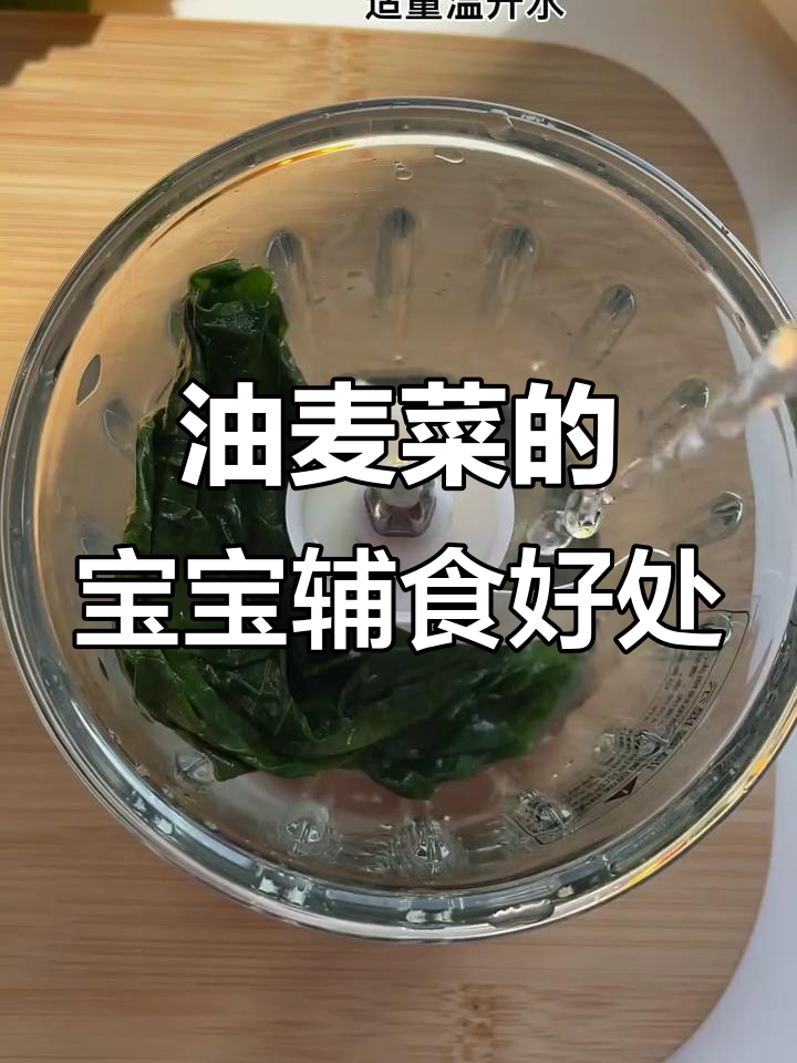 宝宝吃油麦菜,营养丰富又美味!