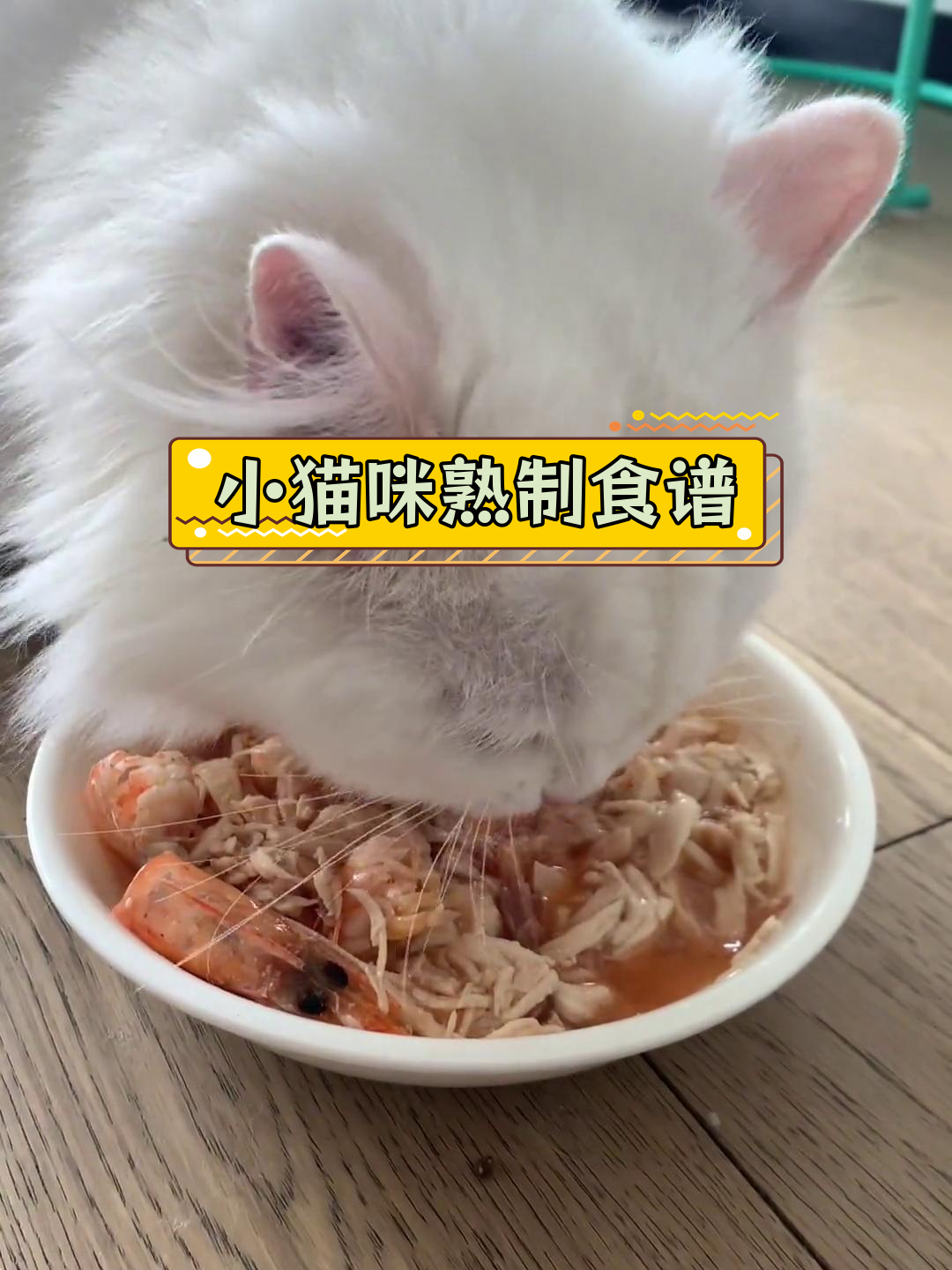 2个月小猫咪的自制食谱,轻松学做猫饭