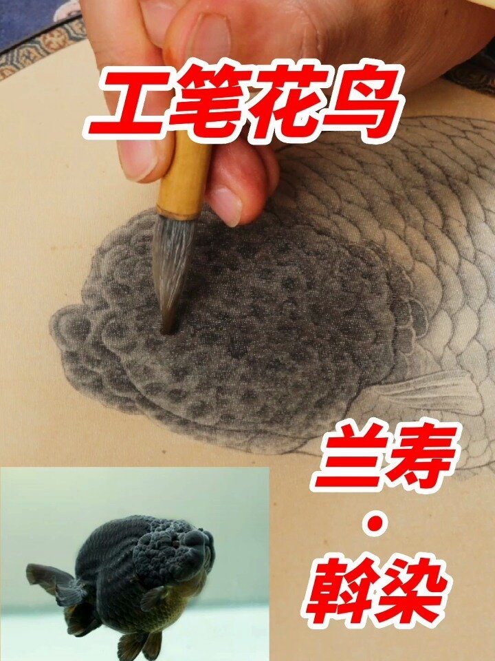 工笔画技法-斡染