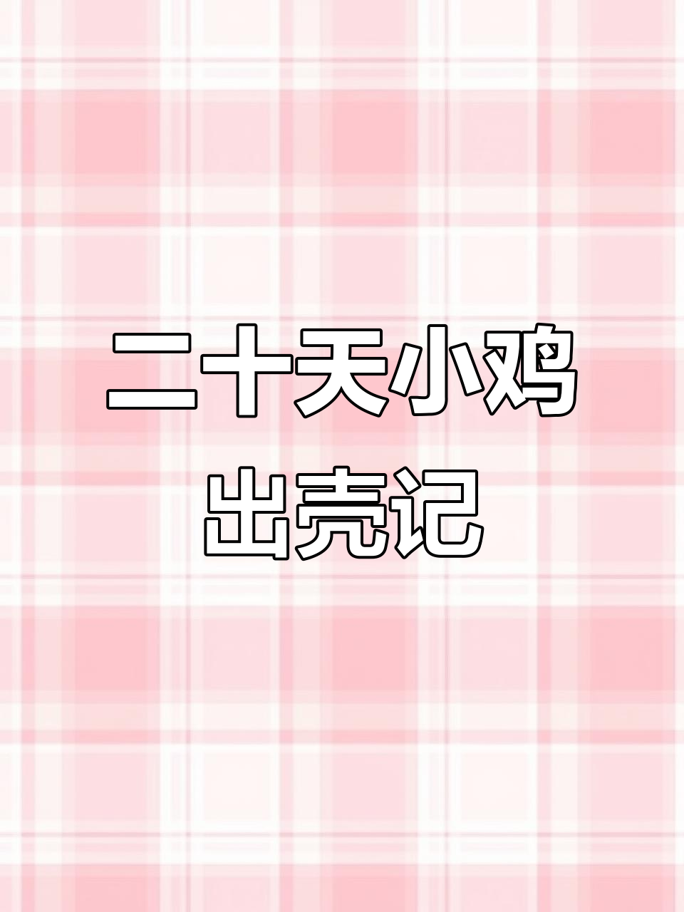 小鸡孵化20天,终于迎来了新生命的奇迹时刻