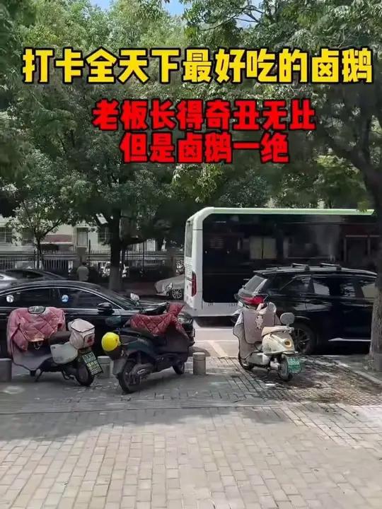 打卡最好吃江南卤鹅#卤鹅 #卤味熟食 #荣昌卤鹅 #美食探店 #南京特色美食推荐