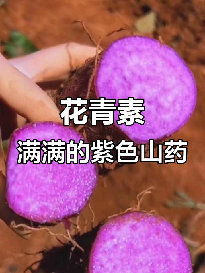 紫玉淮山药:花青素满满,营养丰富,口感超乎想象