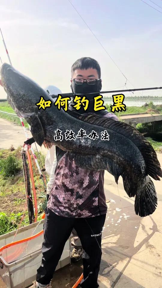 科技改变雷强,高效率钓巨型黑鱼技巧 大大节约搜索时间!快速找巨型黑鱼标点