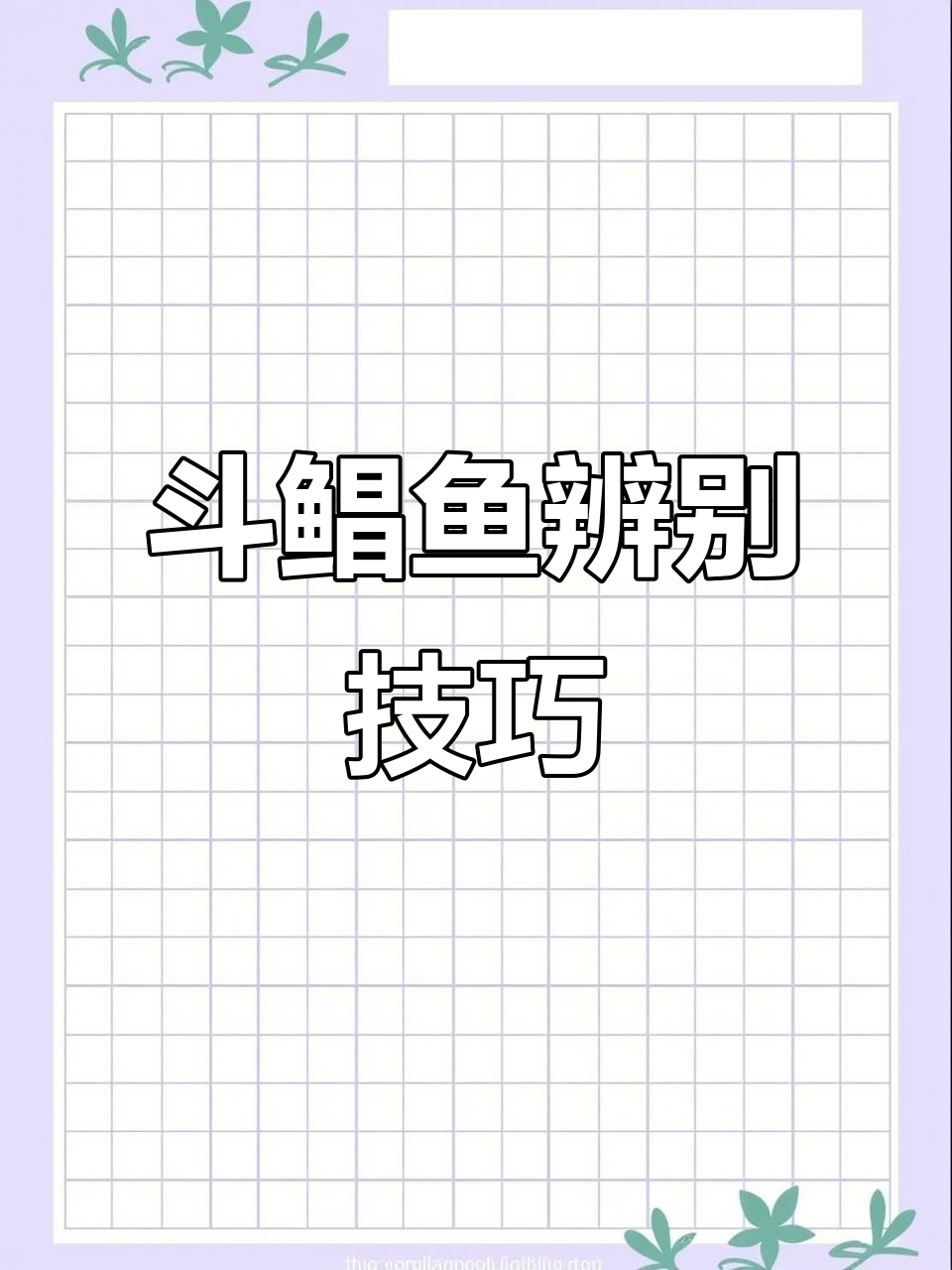 如何分辨豆鲳鱼与长尾昌,避免混淆