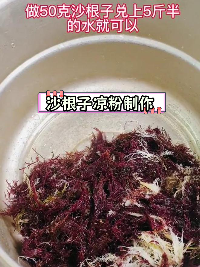 石花菜凉粉的做法,轻松学会