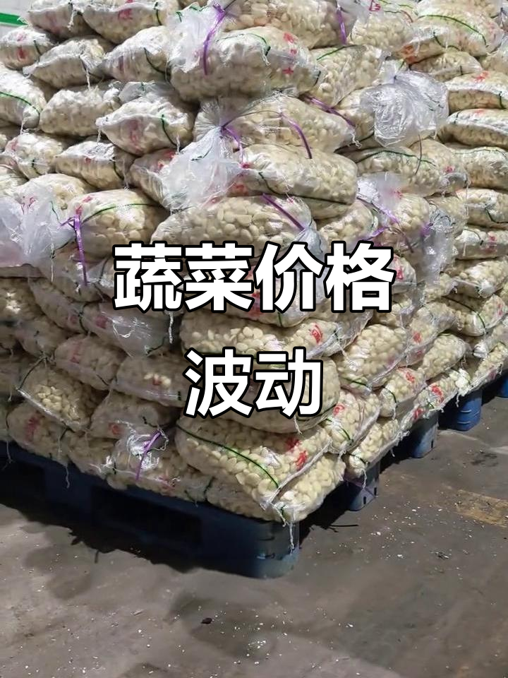 12月蔬菜价格波动,部分品种上涨明显因需求不足