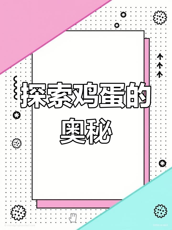 鸡蛋的结构与功能解析