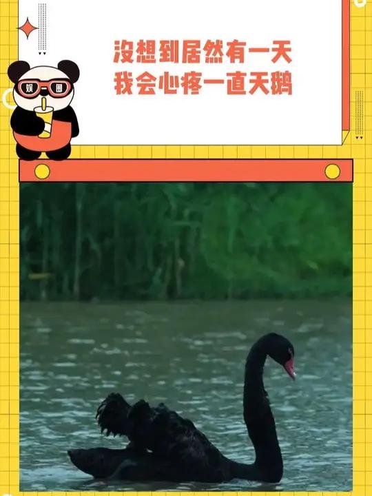 看的想吃铁锅炖大鹅