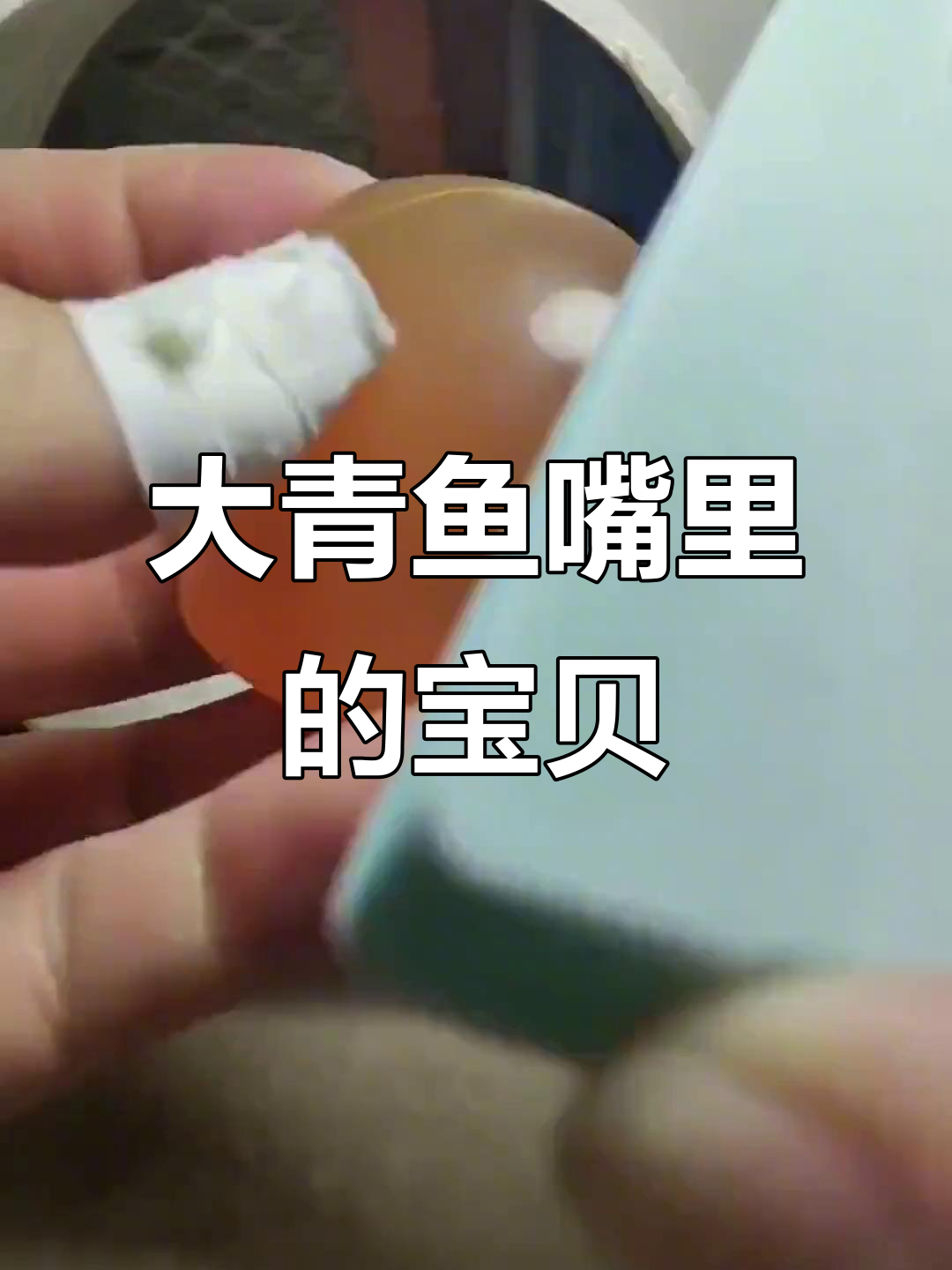 青鱼石：活玉般的秘密，竟藏在大青鱼的嘴里