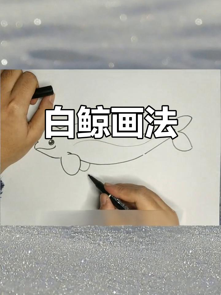 可爱白鲸简笔画教程