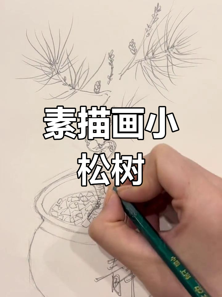用三种握笔方法绘制松树盆栽