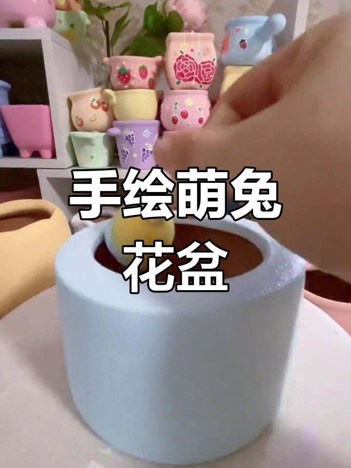 蓝色背景下的可爱兔子与多肉花盆