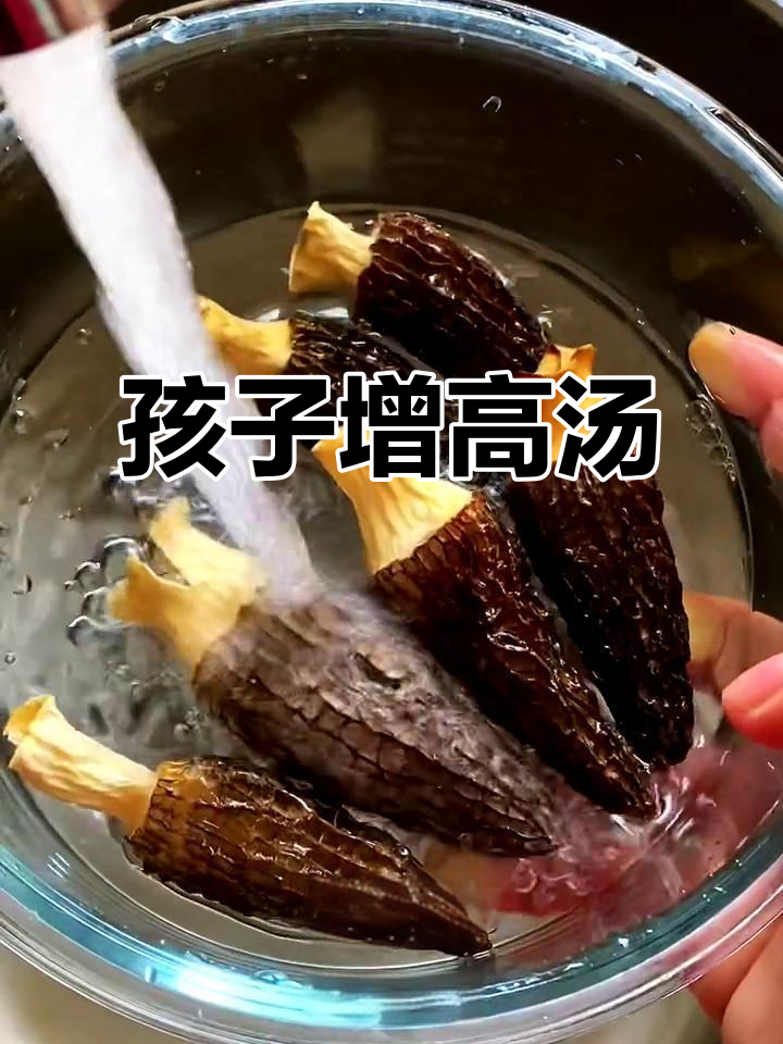 春季孩子长高必喝汤,羊肚菌苹果煲猪腱子肉