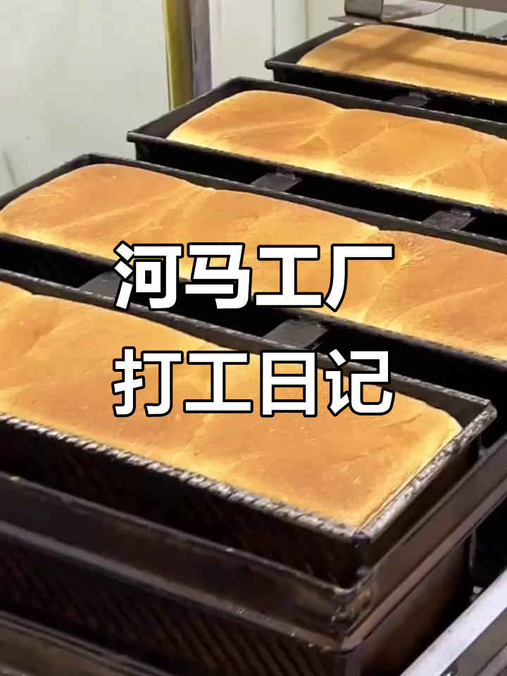探秘河马工厂：从面团到可爱口袋面包的诞生过程