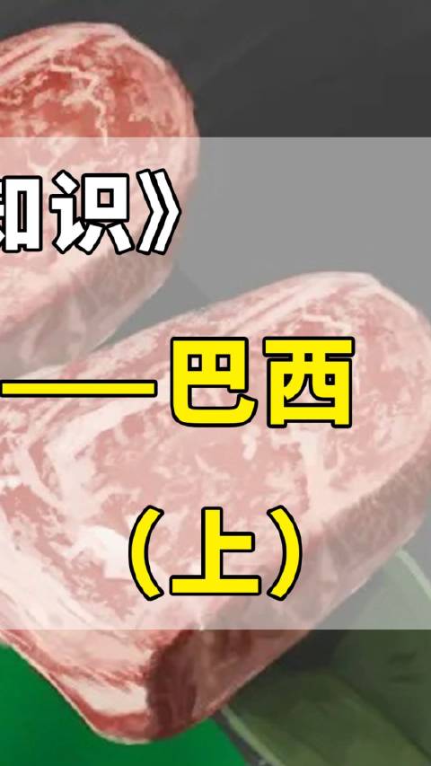进口牛肉冷知识:巴西的牛羊肉 知识分享 进口牛肉供应链