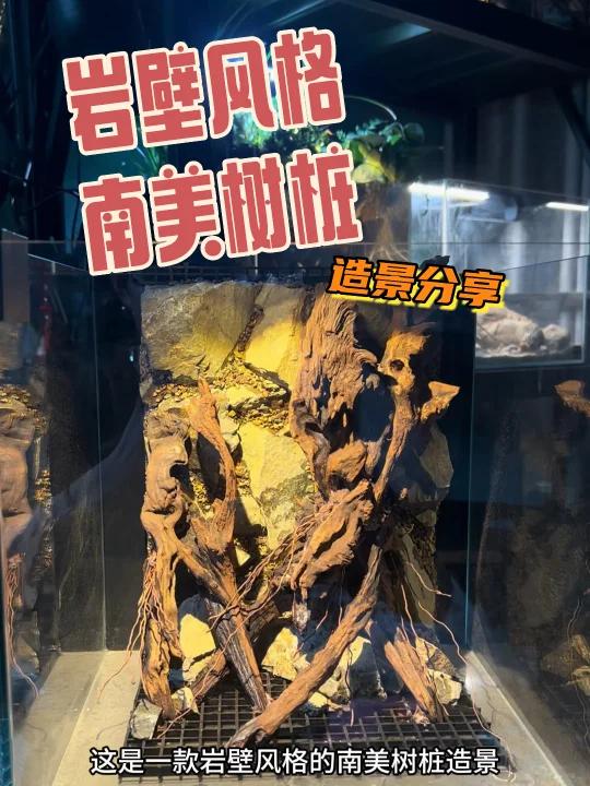 岩壁风格南美大树桩造景