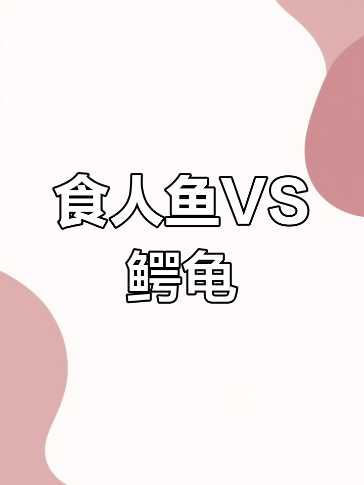 食人鱼与鳄龟的终极对决,谁才是最强王者?