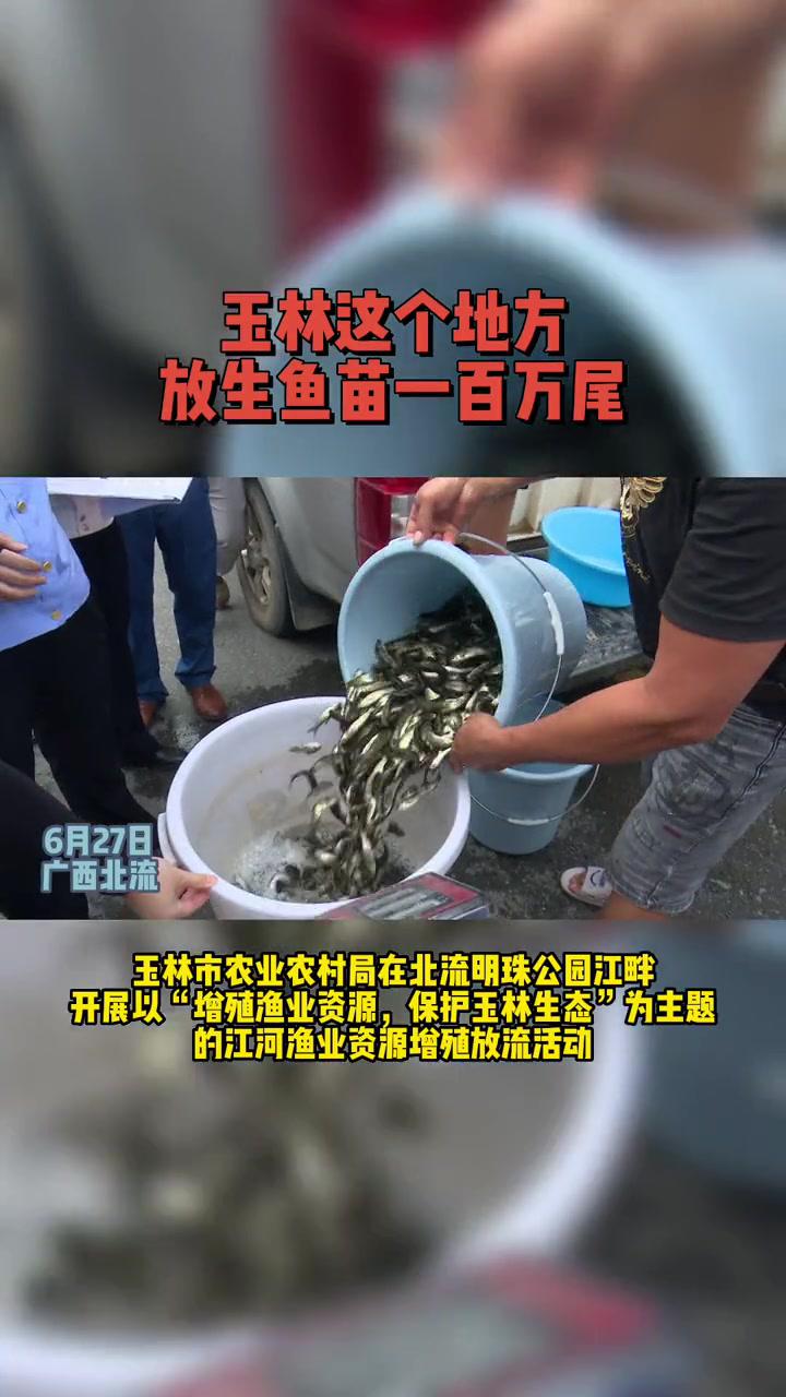 玉林市农业农村局开展2022年玉林市渔业资源增殖放流活动 社会新闻 现场直击 记录精彩瞬间