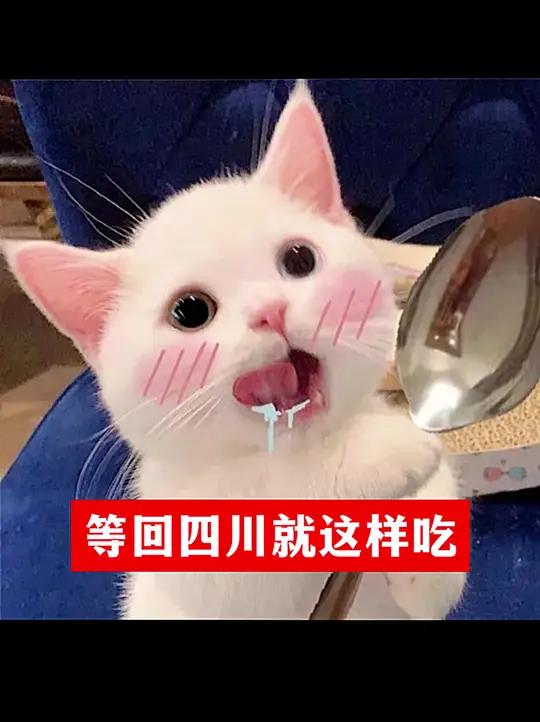 回到四川！我就这么大吃特吃！等我回家就这样吃四川美食减肥30秒给我个理由来四川（图片来源：