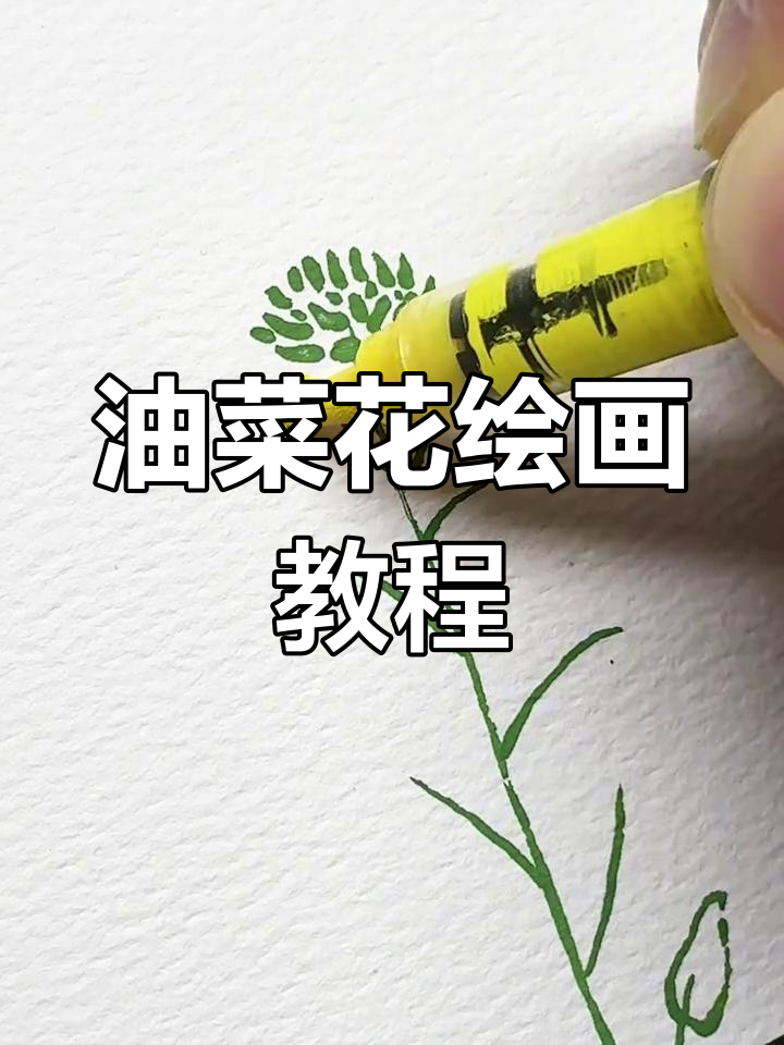 春天来学画油菜花,轻松掌握丙烯马克笔技巧!