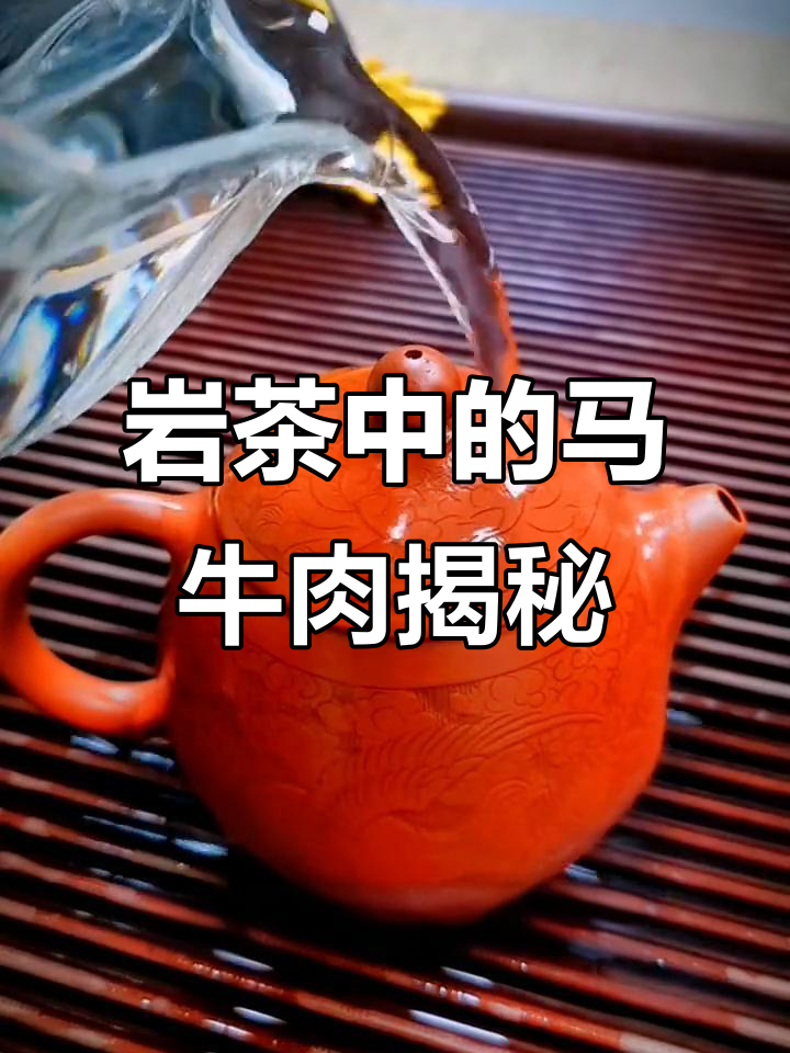 武义岩茶肉桂的马、牛、羊肉真相,原来是这样!