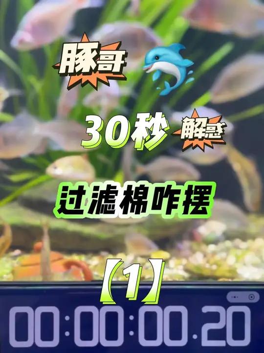 30秒解惑「第一节」过滤棉应该怎么摆,不用太过于纠结摆放顺序,把焦点放在出水口水质干净程度
