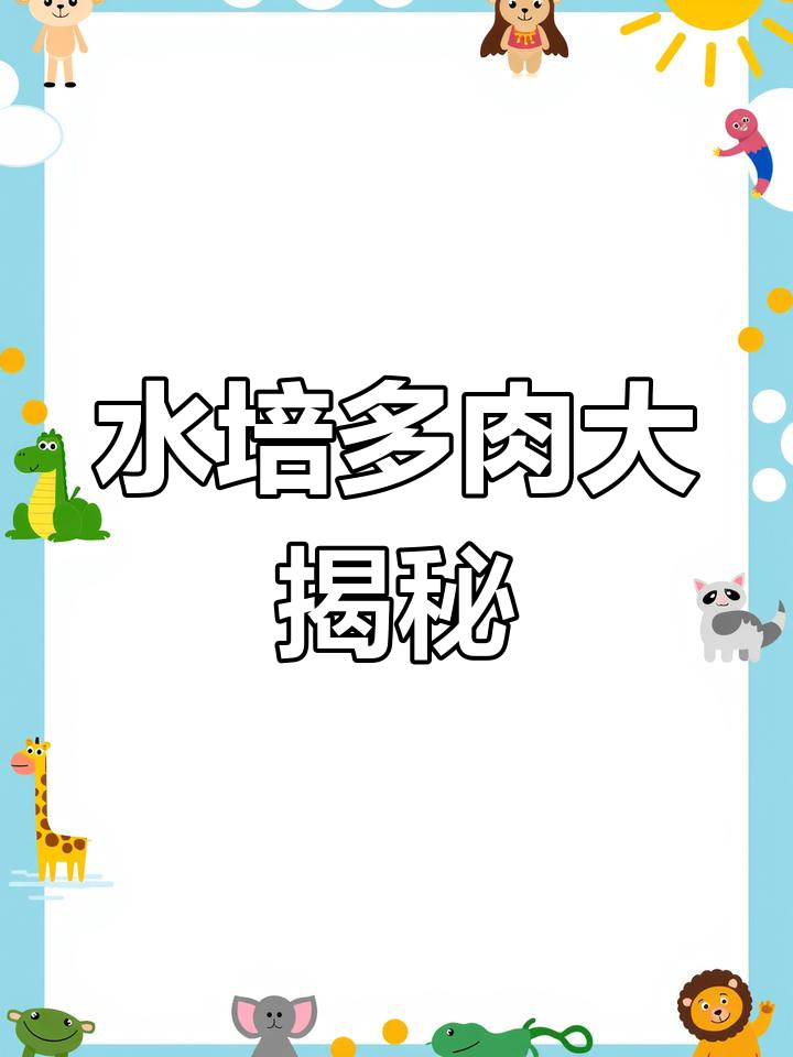 十种水培多肉,白菊也上榜,超惊艳!