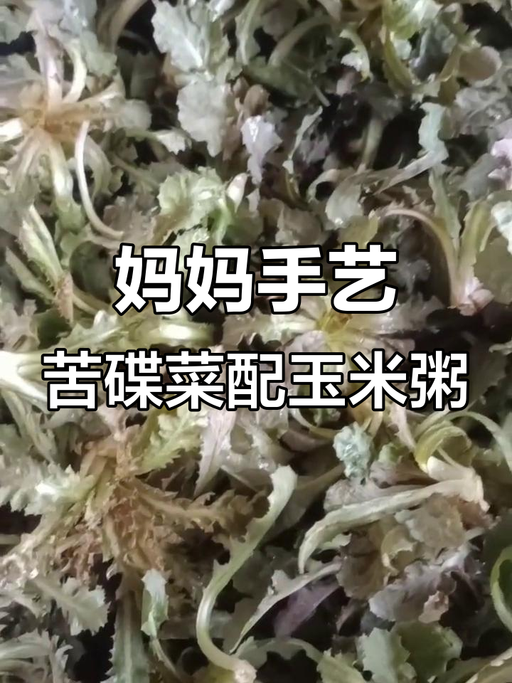 农村妈妈的苦碟菜与苞米粥,春天的美味搭配