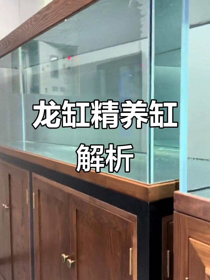 1.8米龙缸精养设计，超白鱼缸与底滤完美搭配