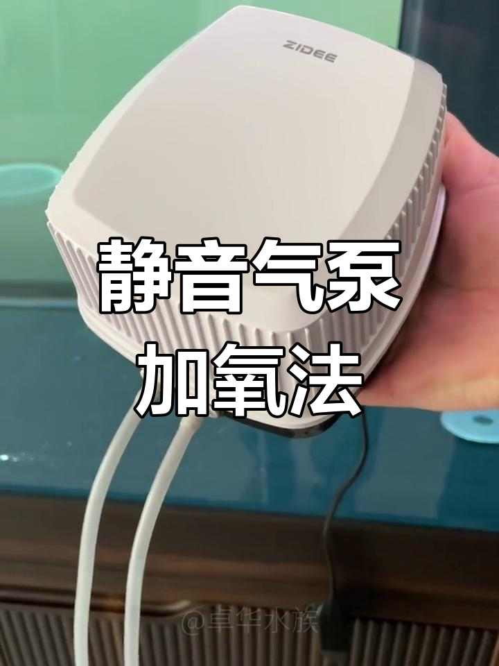 鱼缸增氧泵使用技巧
