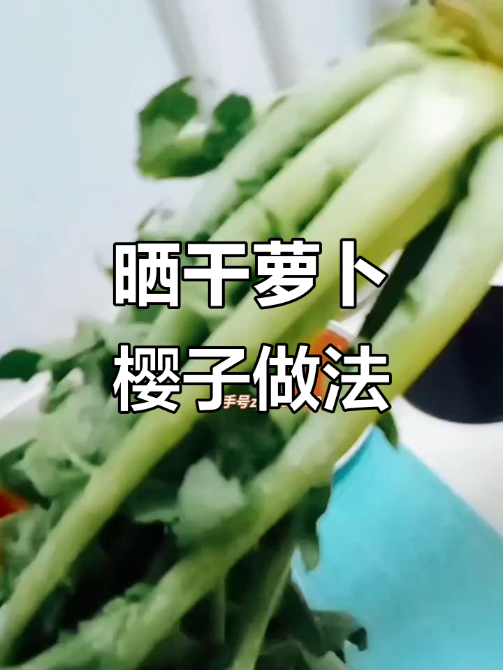 萝卜缨子晒干做包子腌菜,味道超赞!