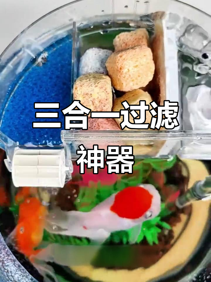 圆形鱼缸三合一过滤器,制氧净水循环一步到位!