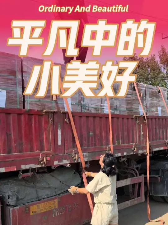内蒙古烧结砖厂家 霍尔果斯透水砖生产厂家 人行道砖 面包砖