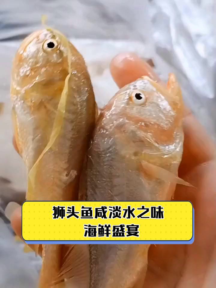 狮头鱼咸淡水之味，海鲜盛宴