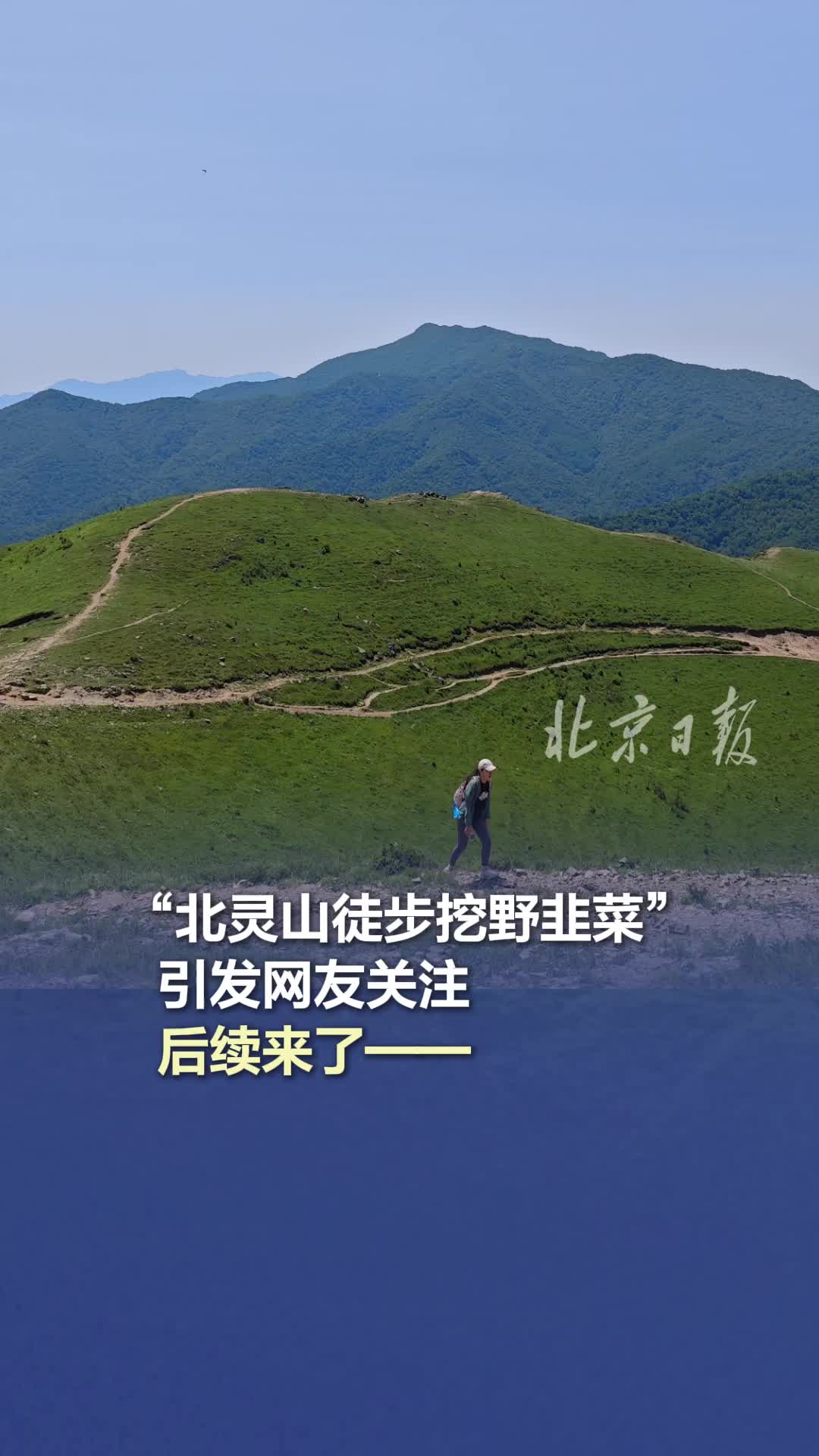 探访｜“北灵山徒步挖野韭菜”引发网友关注，现在如何了？