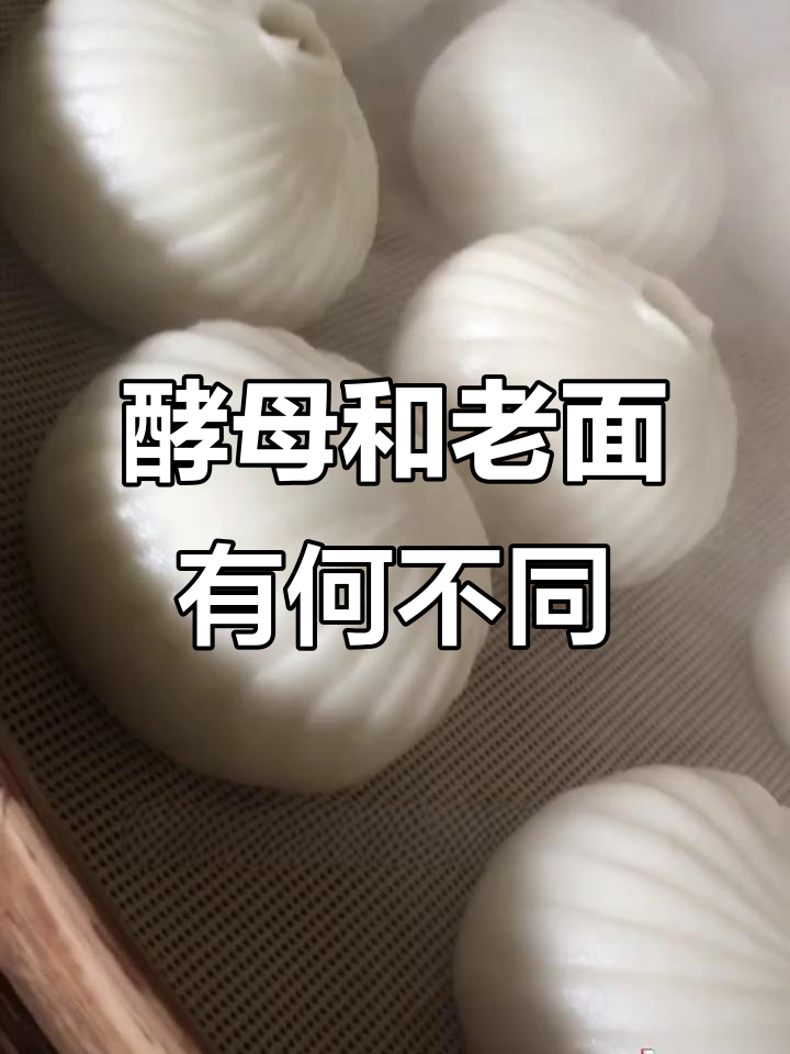 酵母发面与老面的区别,哪种更适合你?