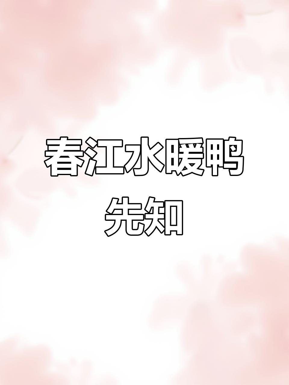 小鸭子成家了,春日画报带你一起晒太阳
