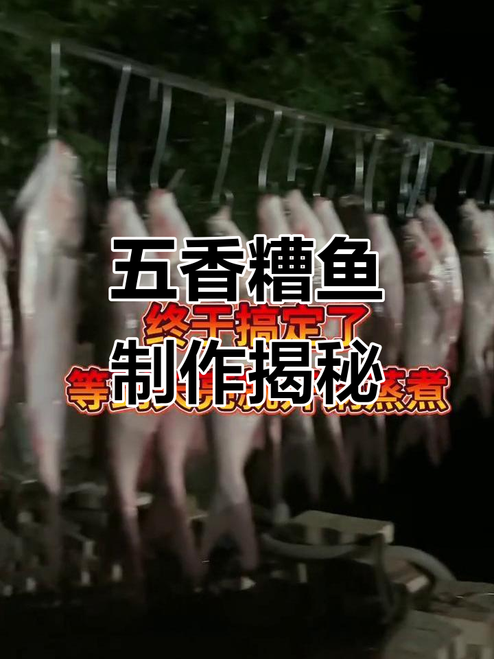 渔民晒鱼干,五香糟鱼的独特腌制方法