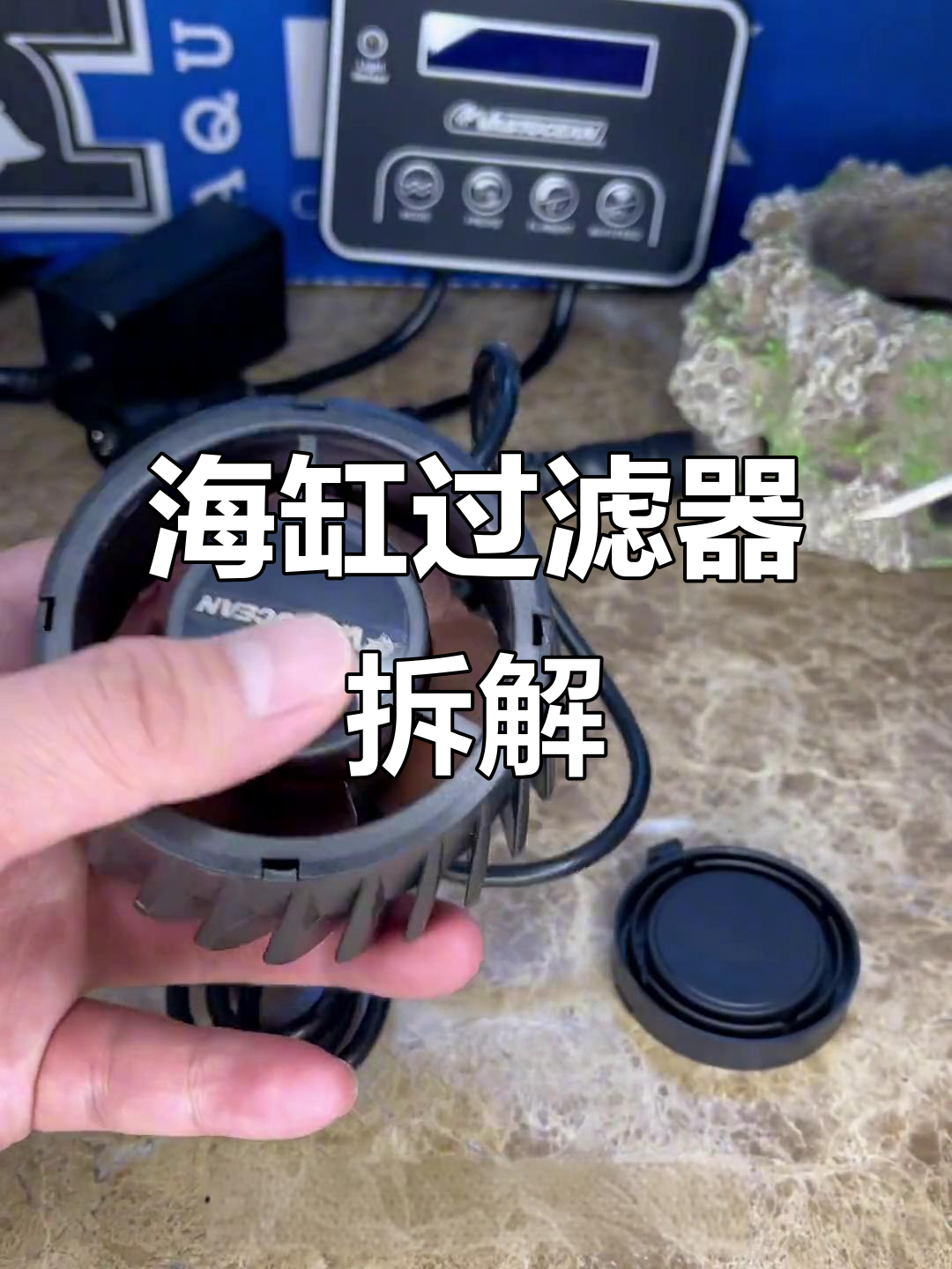 海水鱼缸过滤系统拆解：仿身胶石造廊与泵头设计解析