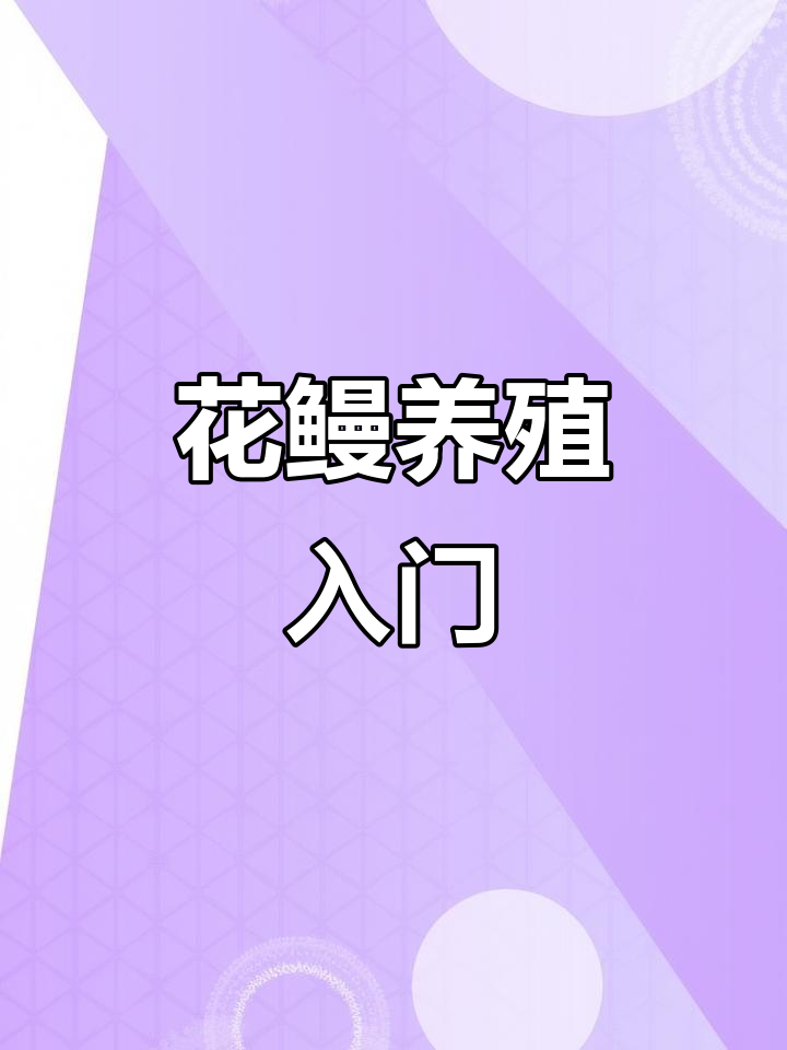 花鳗养殖技巧:如何轻松管理鱼塘,提高成活率