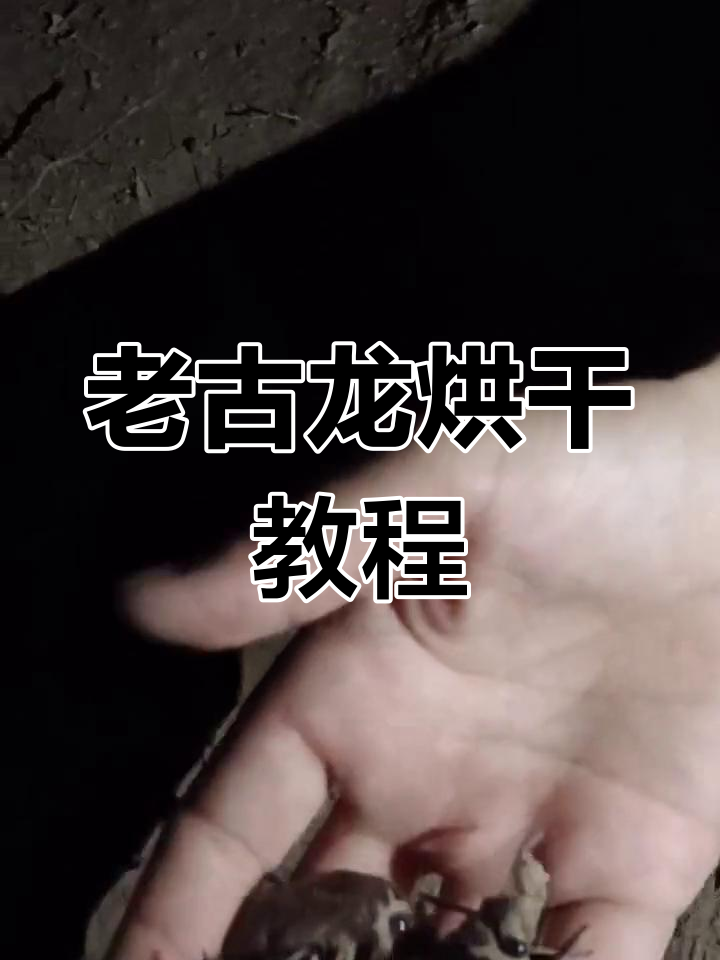 夏日尾声,老古龙炸吃新体验